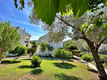 WhatsApp-Image-2024-06-03-at-16-38-24