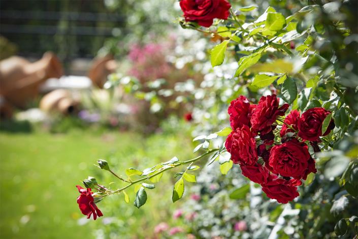 Image No.39-4 Bed Villa / Detached for sale