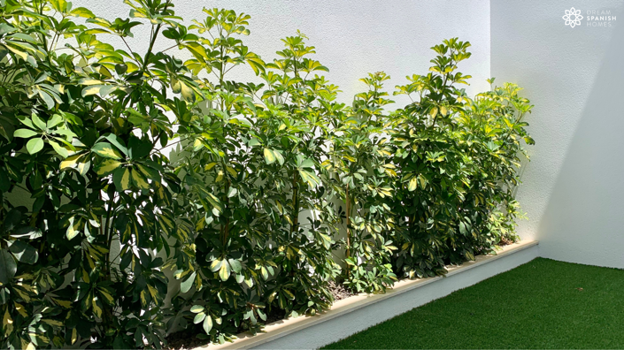 Image No.8-Maison de 3 chambres à vendre à Los Alcázares