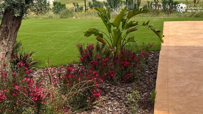 Image No.19-3 Bed Apartment for sale