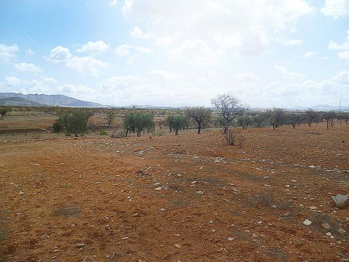 Image No.5-Cortijo de 4 chambres à vendre à Uleila del Campo