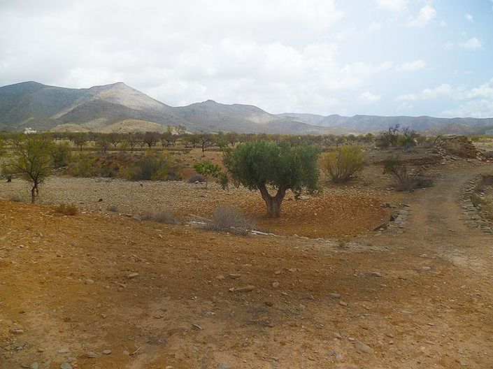 Image No.6-Cortijo de 4 chambres à vendre à Uleila del Campo