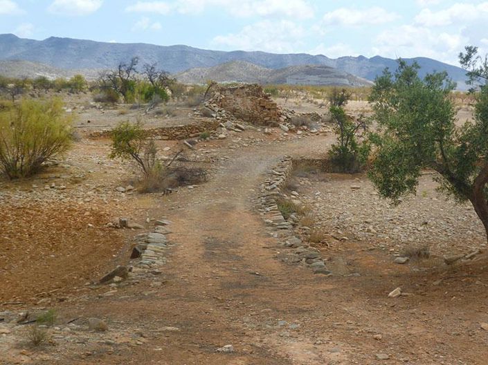 Image No.7-Cortijo de 4 chambres à vendre à Uleila del Campo