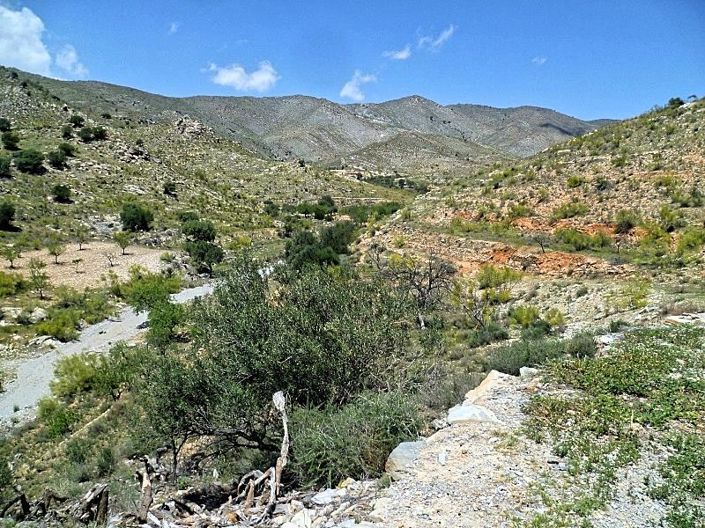 Image No.15-Cortijo à vendre à Sorbas