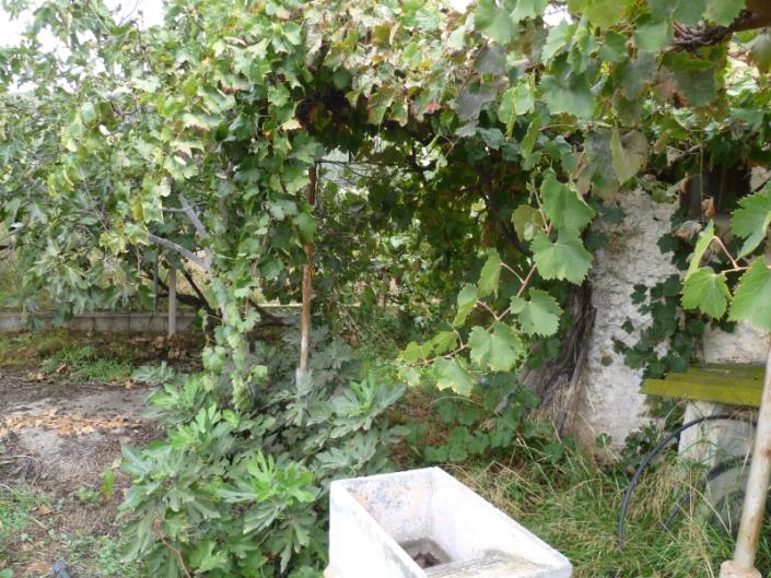 Image No.22-4 Bed Cortijo for sale