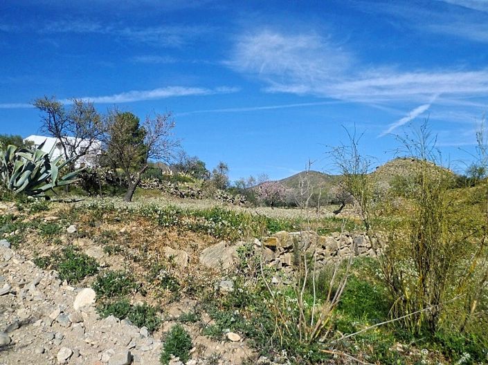 Image No.5-Terre à vendre à Lubrín