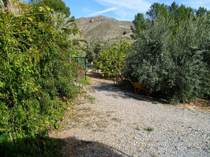 Image No.5-Terre à vendre à Lubrín