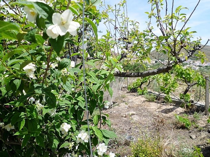 Image No.16-Cortijo de 2 chambres à vendre à Lubrín