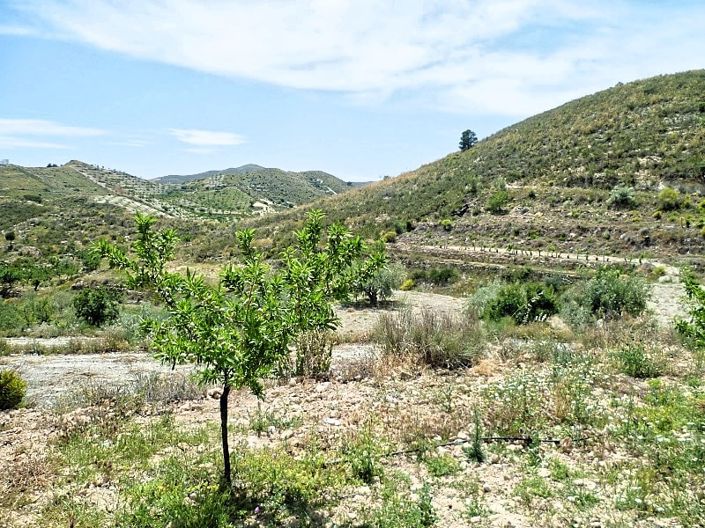 Image No.22-Cortijo de 2 chambres à vendre à Lubrín