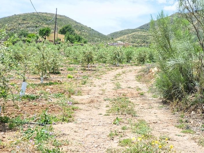 Image No.23-Cortijo de 2 chambres à vendre à Lubrín