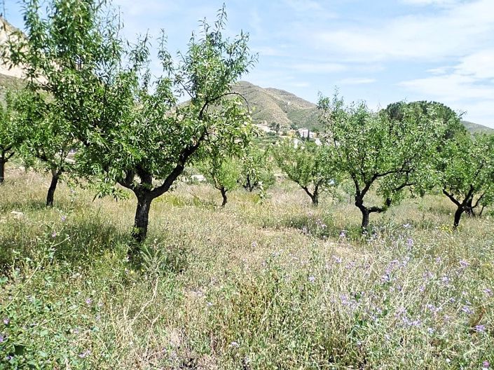 Image No.24-Cortijo de 2 chambres à vendre à Lubrín
