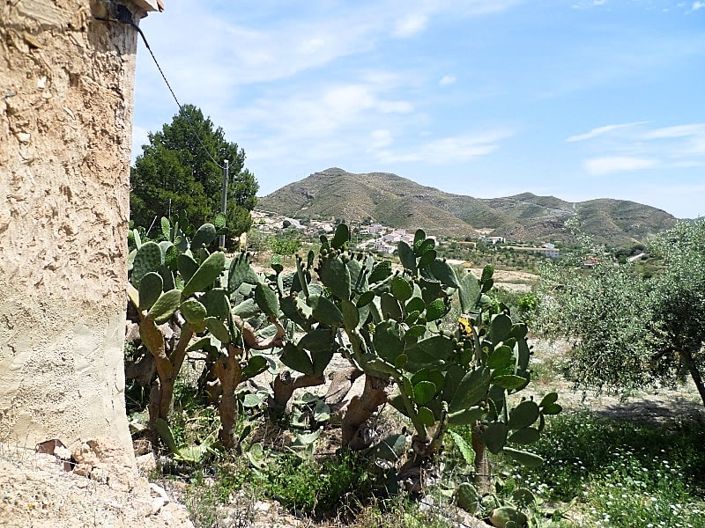 Image No.6-Cortijo de 2 chambres à vendre à Lubrín