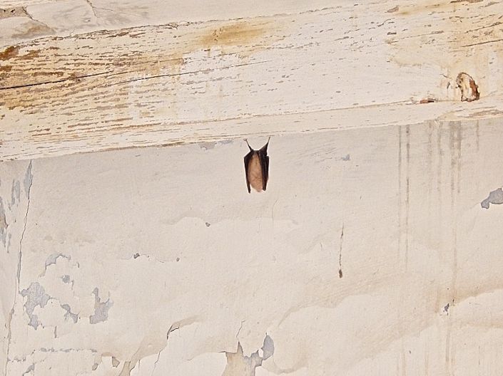 Image No.15-Maison de campagne de 3 chambres à vendre à Lubrín