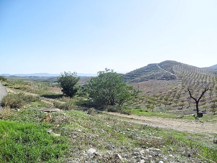 Image No.24-4 Bed Cortijo for sale