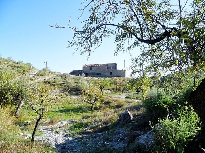 Image No.4-4 Bed Cortijo for sale