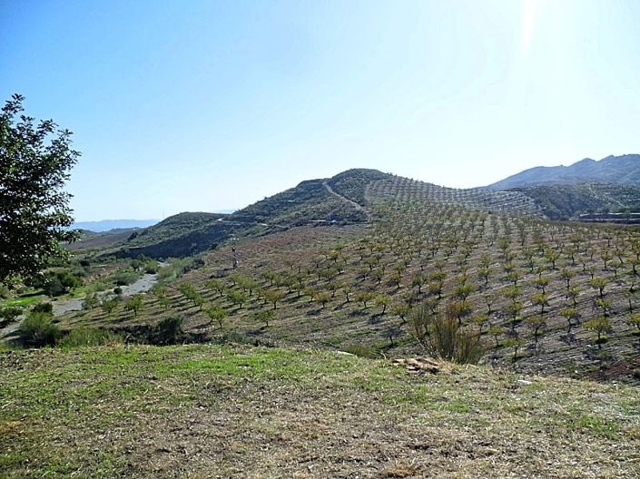 Image No.5-4 Bed Cortijo for sale