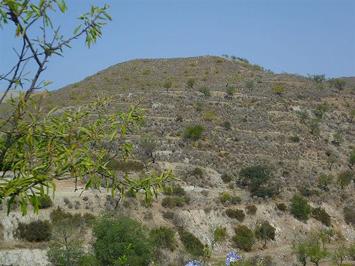 Image No.5-3 Bed Cortijo for sale