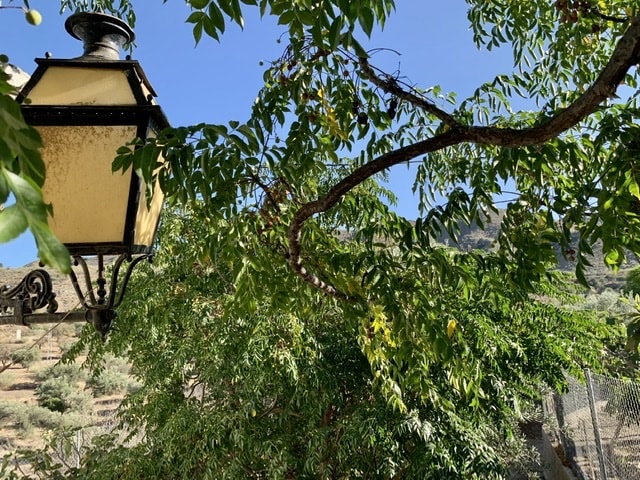 Image No.2-Maison de campagne de 4 chambres à vendre à Lubrín