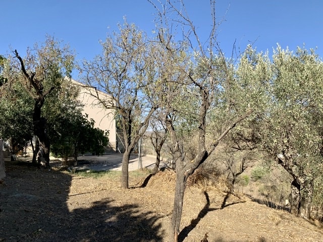 Image No.5-Maison de campagne de 4 chambres à vendre à Lubrín