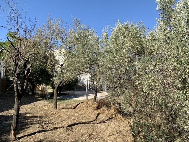 Image No.6-Maison de campagne de 4 chambres à vendre à Lubrín