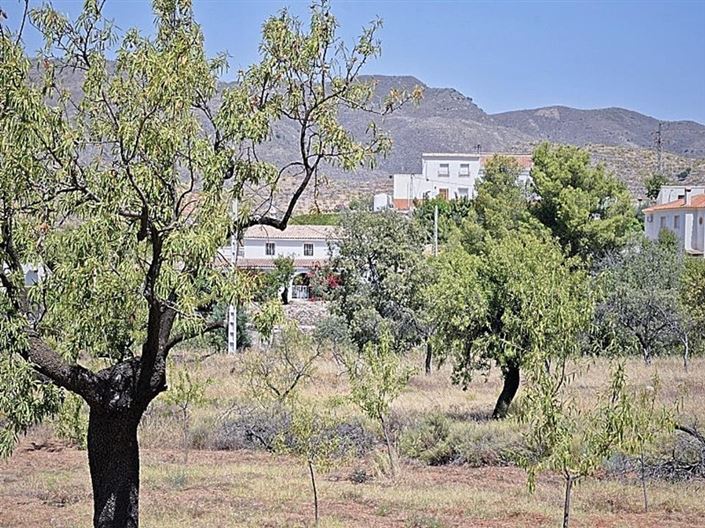 Image No.5-5 Bed Cortijo for sale