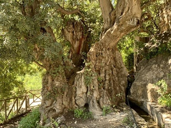 Image No.56-5 Bed Villa for sale