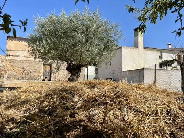 Image No.18-5 Bed Cortijo for sale