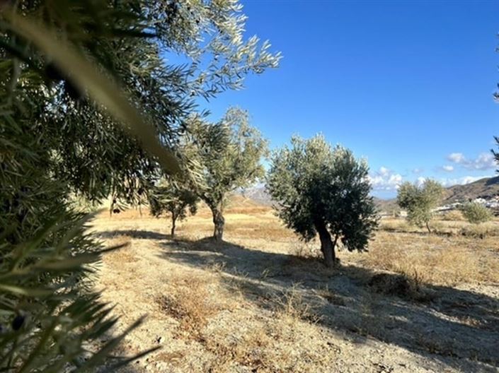 Image No.24-Maison de campagne de 6 chambres à vendre à Lucainena de las Torres