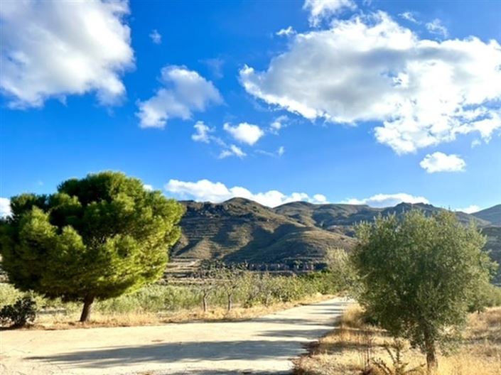 Image No.35-Maison de campagne de 6 chambres à vendre à Lucainena de las Torres