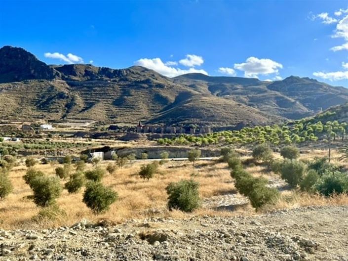 Image No.40-Maison de campagne de 6 chambres à vendre à Lucainena de las Torres