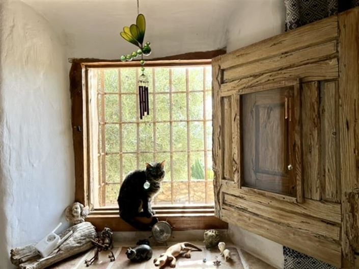 Image No.31-Maison de campagne de 7 chambres à vendre à Velez Blanco