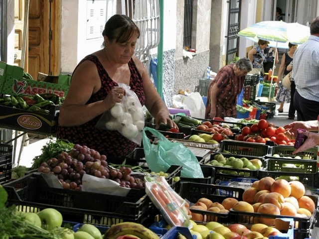 Image No.7-Terre à vendre à Lubrín