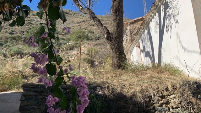 Image No.42-3 Bed Cortijo for sale