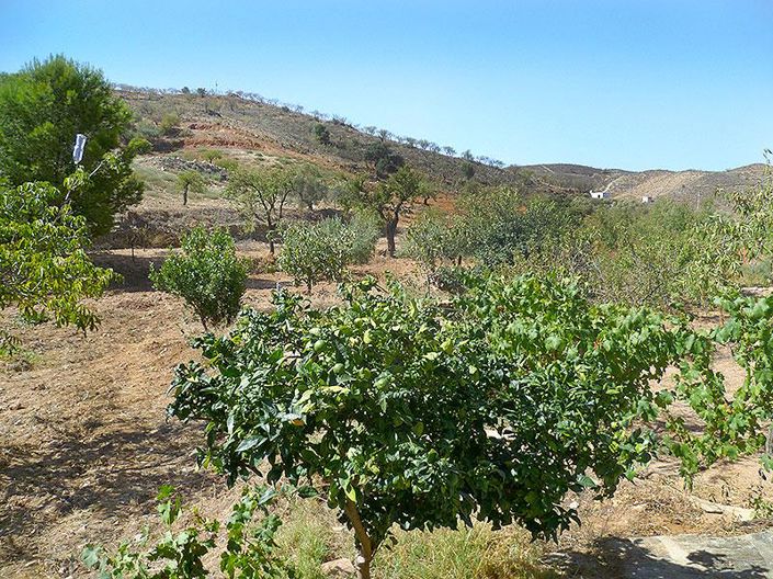 Image No.25-Maison de campagne de 5 chambres à vendre à Lubrín