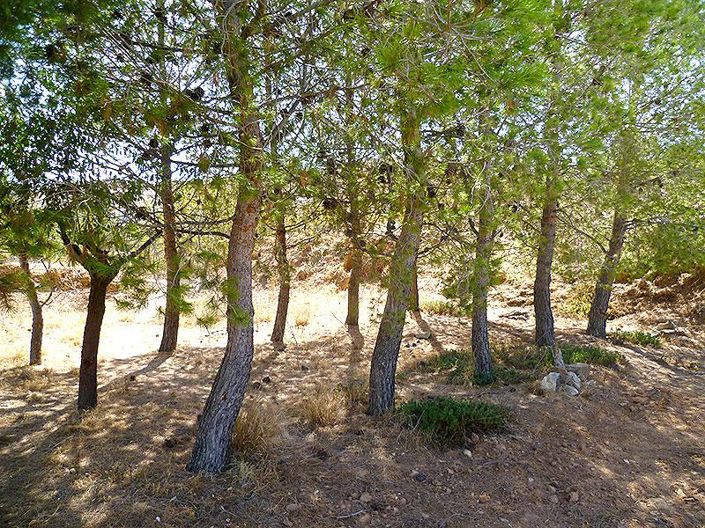 Image No.27-Maison de campagne de 5 chambres à vendre à Lubrín