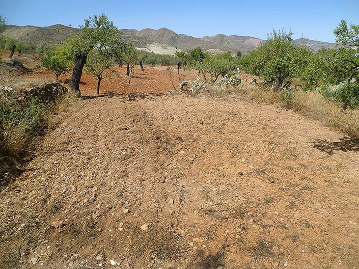 Image No.33-Maison de campagne de 5 chambres à vendre à Lubrín