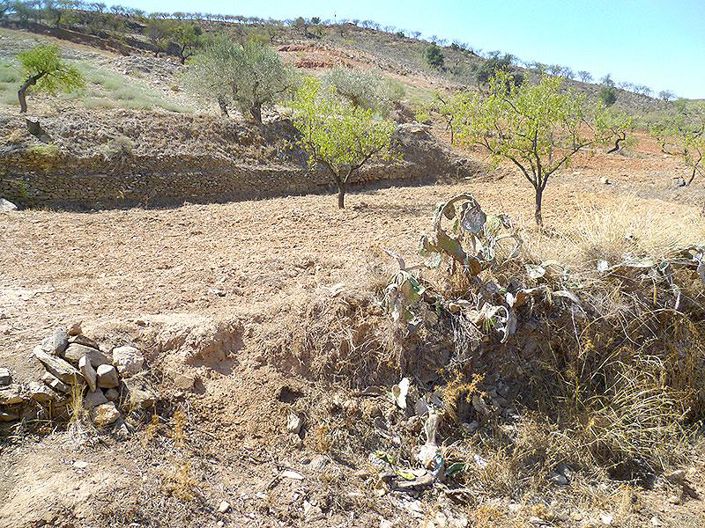 Image No.34-Maison de campagne de 5 chambres à vendre à Lubrín