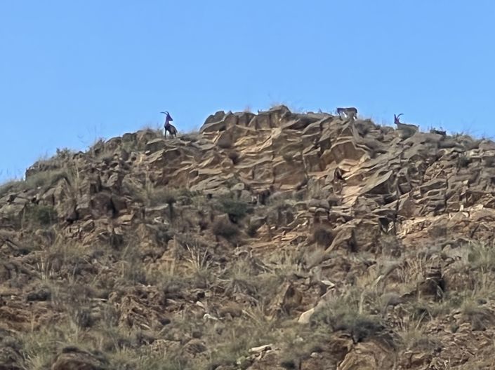 Image No.48-2 Bed Villa for sale