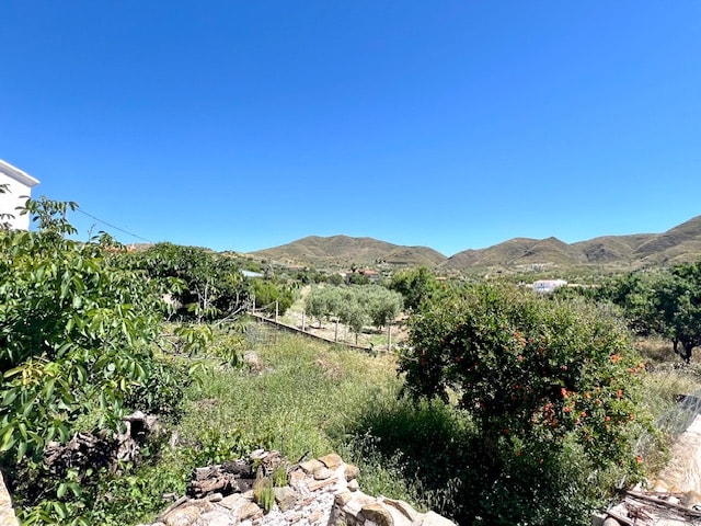 Image No.22-Maison de 2 chambres à vendre à Lubrín