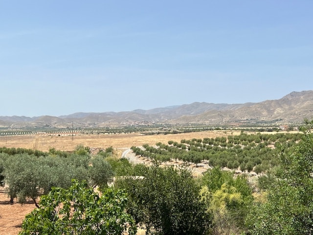 Image No.10-Maison de campagne de 2 chambres à vendre à Uleila del Campo