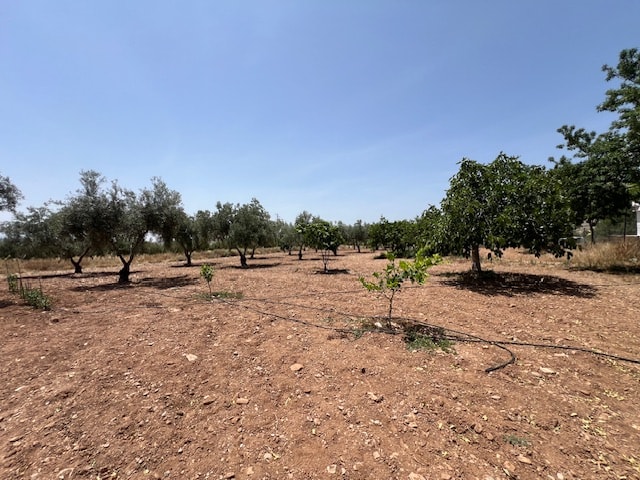 Image No.8-Maison de campagne de 2 chambres à vendre à Uleila del Campo