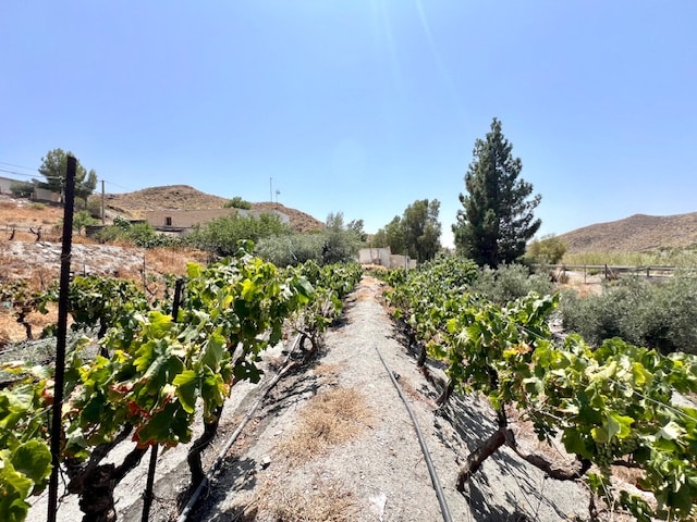 Image No.4-Maison de campagne de 7 chambres à vendre à Tabernas