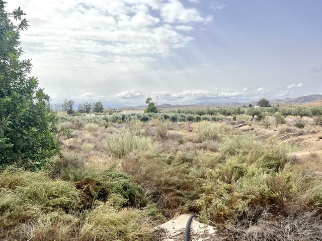 Image No.5-3 Bed Cortijo for sale