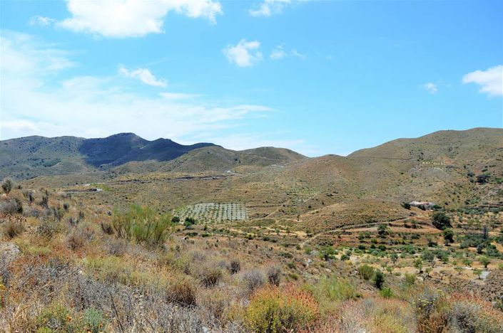 Image No.11-Terre à vendre à Lubrín