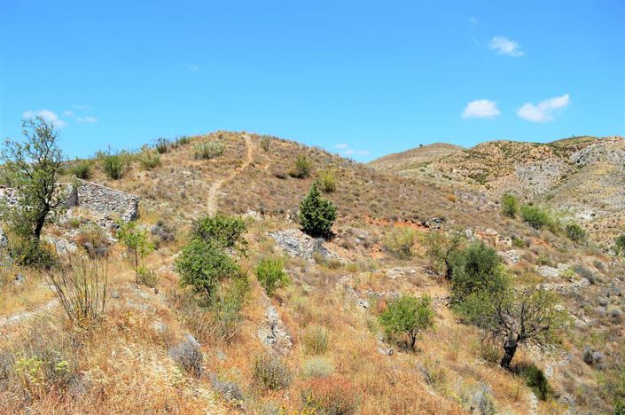 Image No.8-Terre à vendre à Lubrín