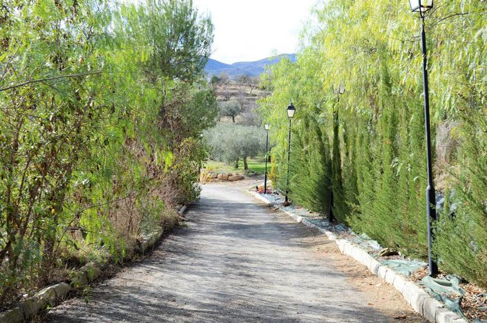 Image No.13-4 Bed Cortijo for sale