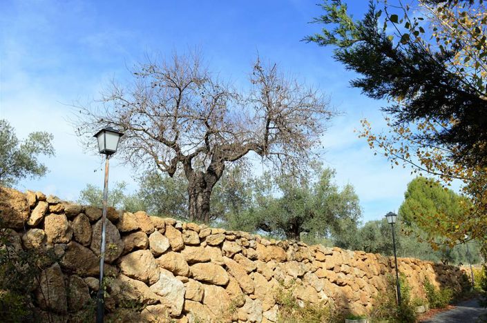 Image No.14-4 Bed Cortijo for sale