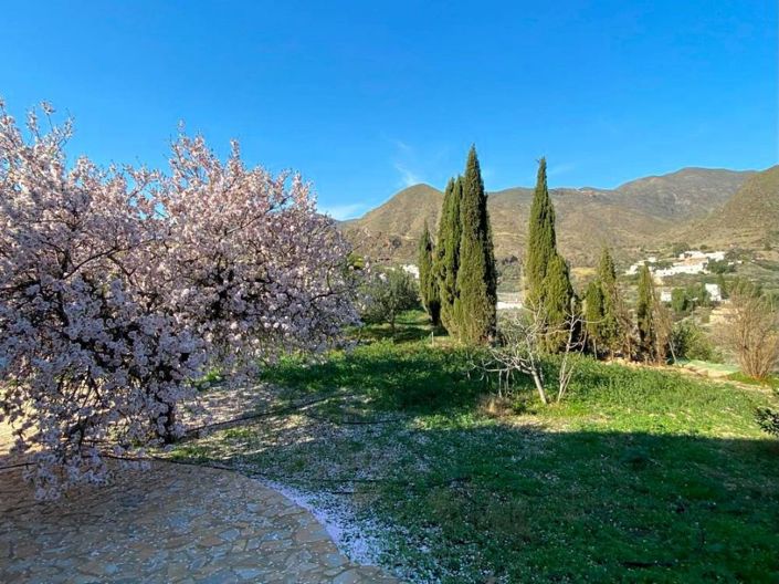 Image No.11-Maison de campagne de 7 chambres à vendre à Carboneras