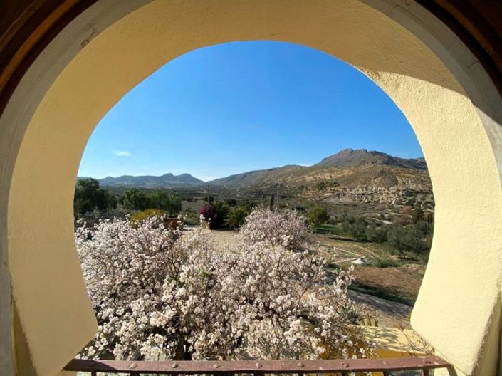 Image No.9-Maison de campagne de 7 chambres à vendre à Carboneras