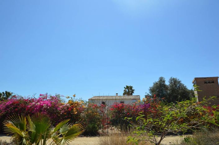 Image No.2-4 Bed Cortijo for sale